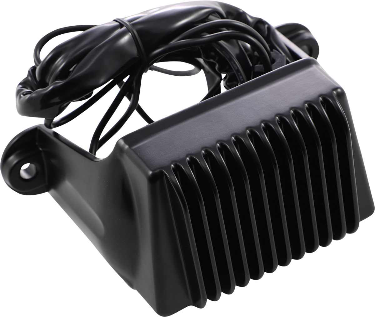 Regulator - FL '02-'03 - Black - Image 2