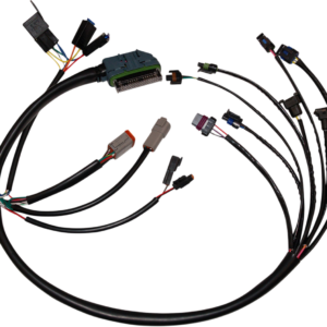 EFI - Harness