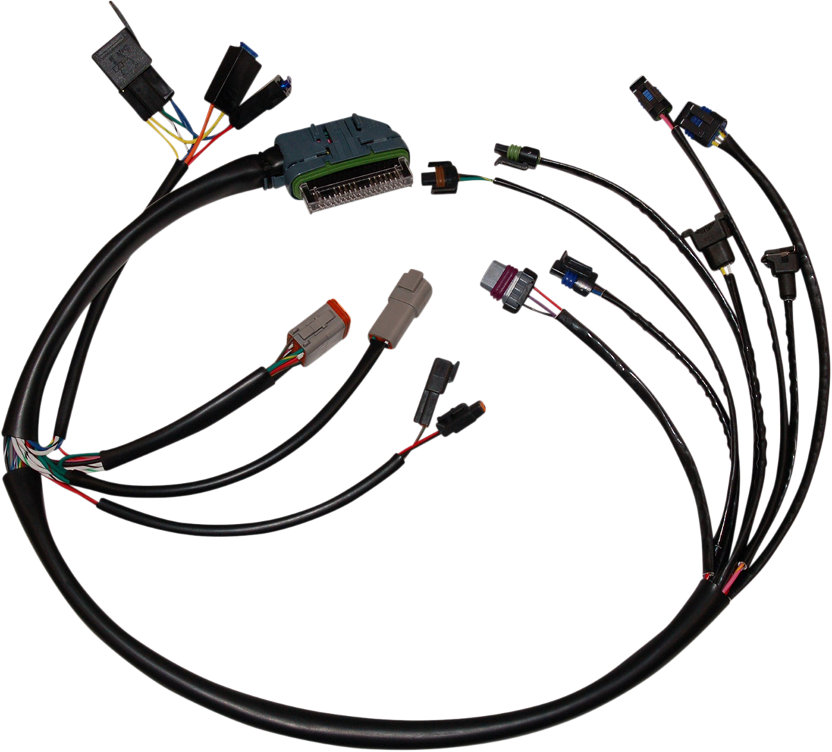 EFI - Harness