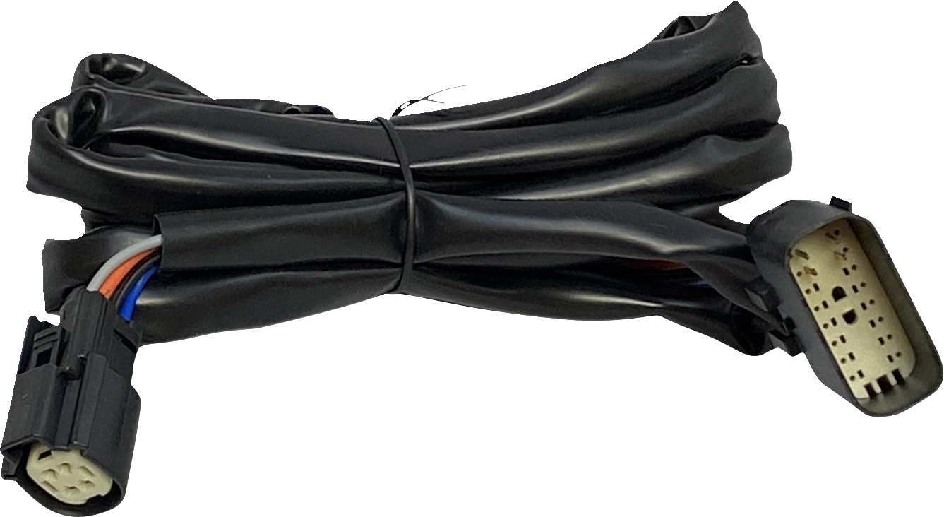 Harness - Rear Speakers - Tour-Pak