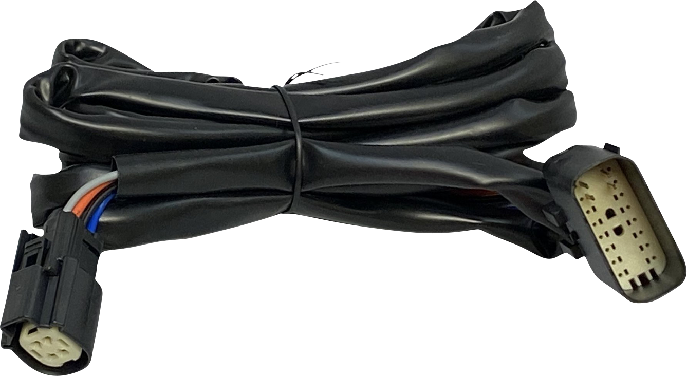 Harness - Rear Speakers - Tour-Pak - Image 2