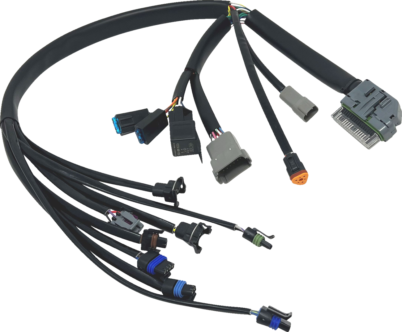 EFI Harness - '04-'05 FLH/FLT