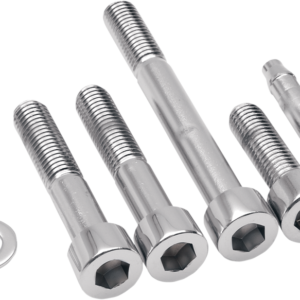Mounting Bolt Kit - Brake Caliper - Socket-Head - Rear - Softail