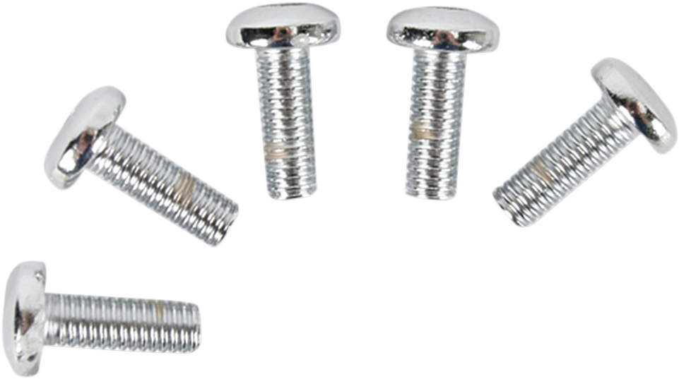 Rotor Bolt Set - Cast - Chrome