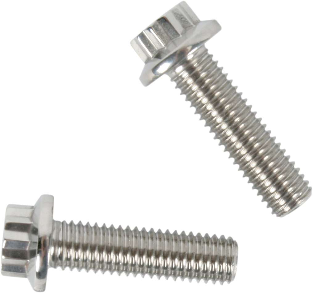 Bolt Kit - Front Caliper Mount - 12-Point - XL