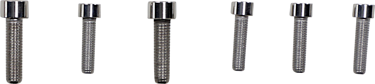 Bolt Kit - Front Caliper Mount - Socket-Head - Softail - Image 2