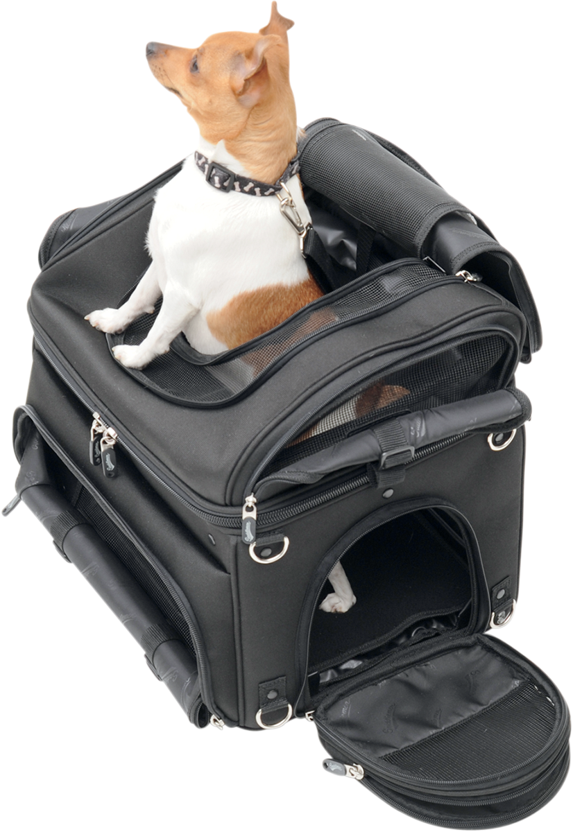 Pet Voyager - Image 3