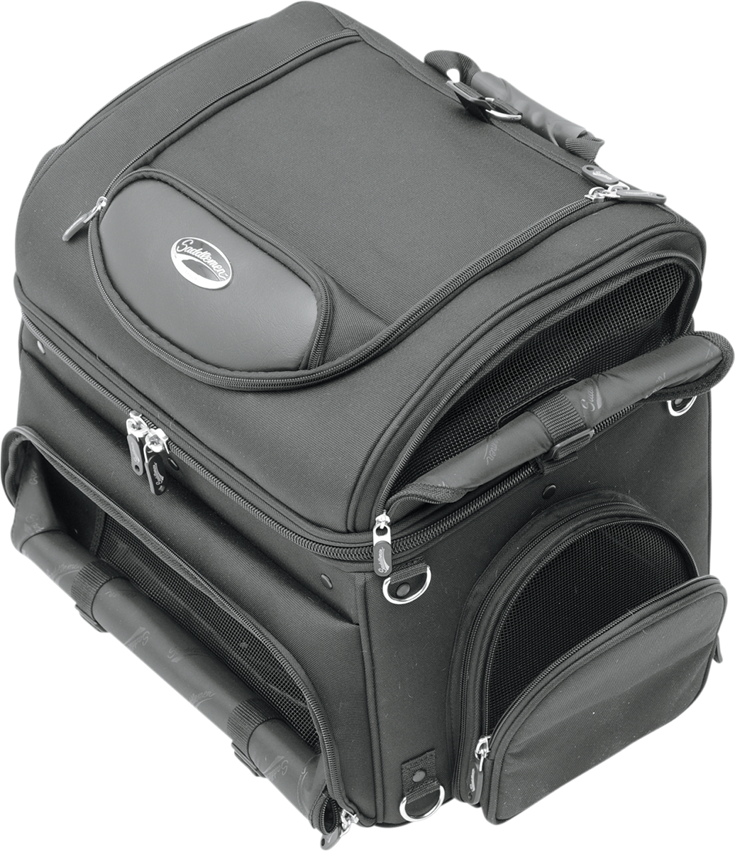 Pet Voyager - Image 9