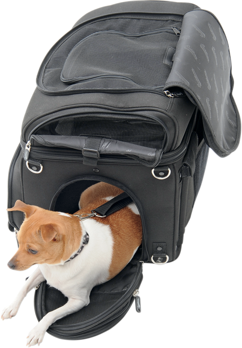 Pet Voyager - Image 7