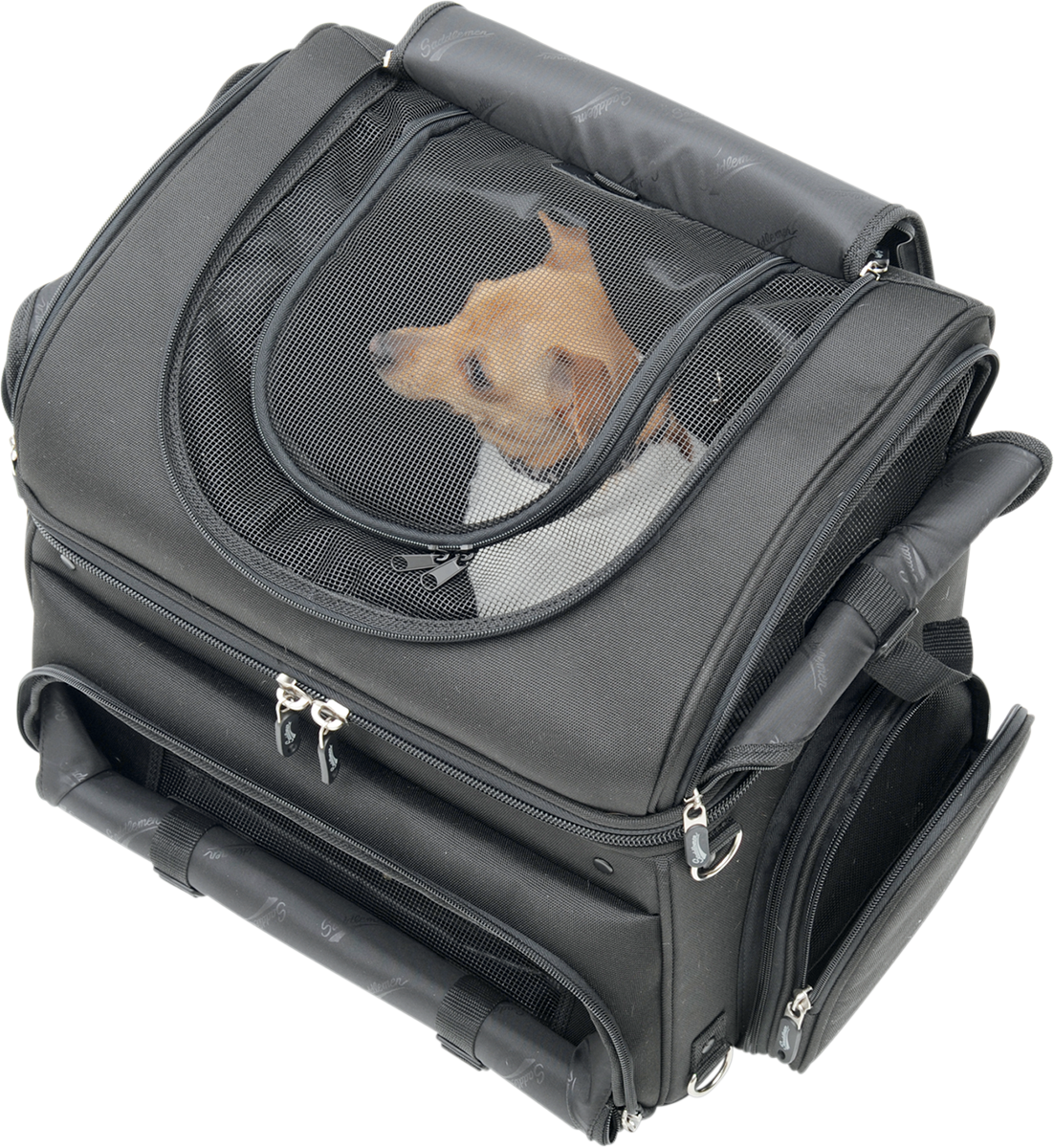 Pet Voyager - Image 4