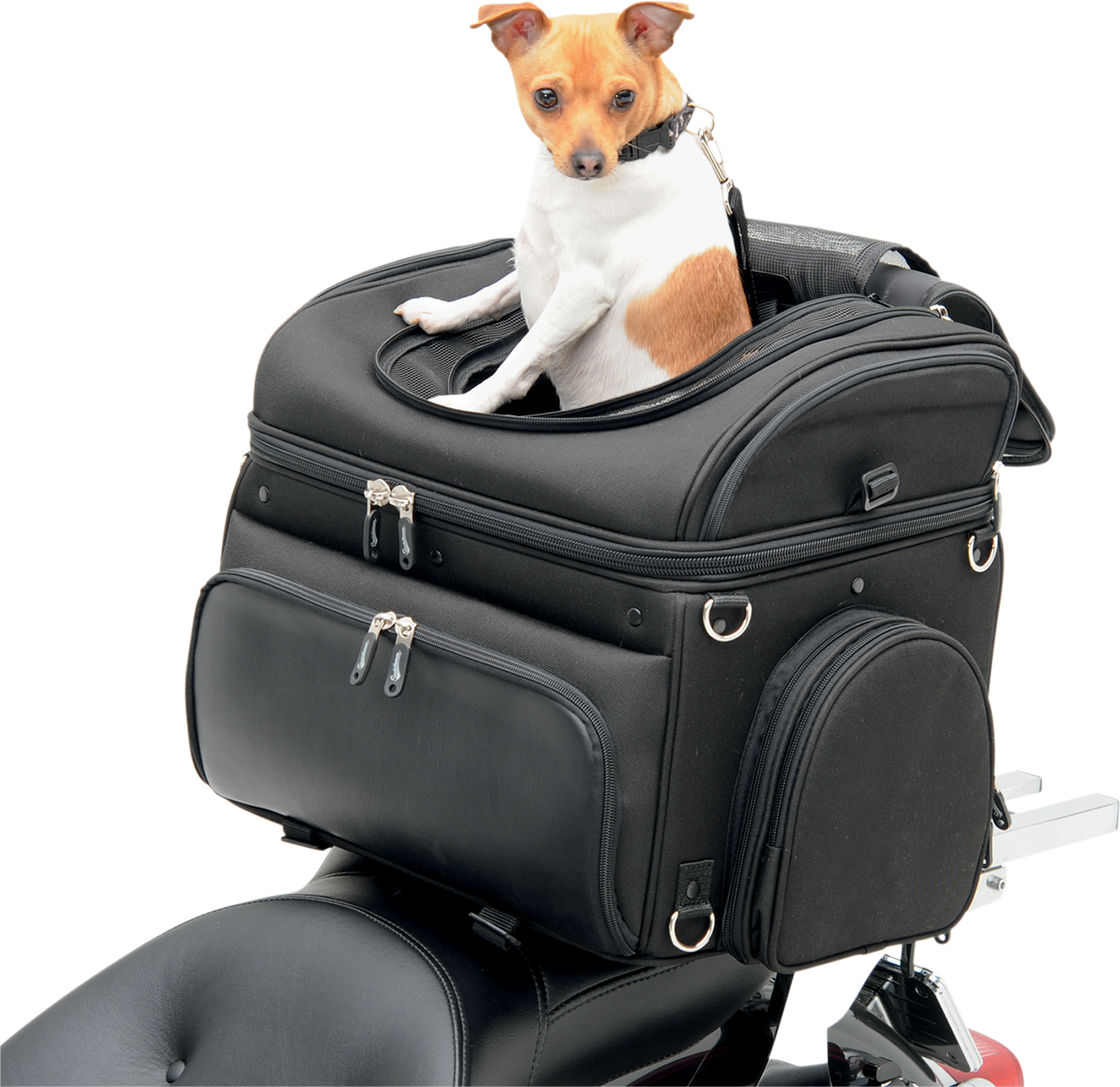 Pet Voyager - Image 8