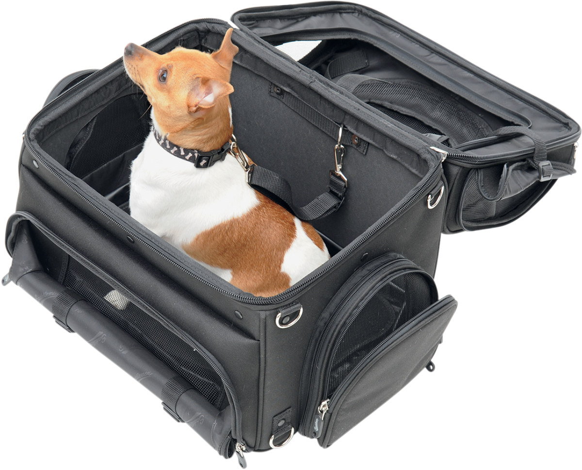 Pet Voyager - Image 6