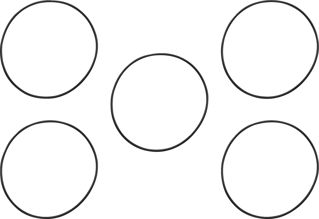 Derby Cover O-Ring - Big Twin