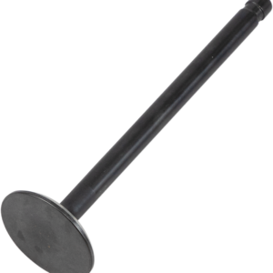 Exhaust Valve - 883 XL