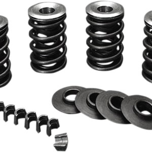 Valve Spring Kit - Evolution - Big Twin