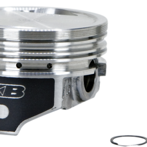 Piston Kit